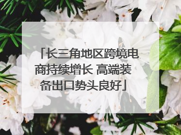 长三角地区跨境电商持续增长 高端装备出口势头良好