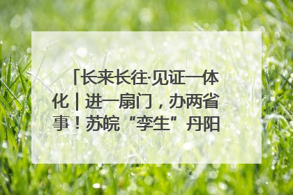 长来长往·见证一体化｜进一扇门，办两省事！苏皖“孪生”丹阳如何做到的？