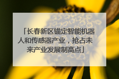 长春新区锚定智能机器人和传感器产业，抢占未来产业发展制高点