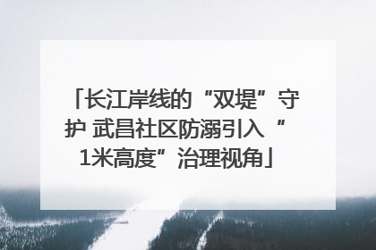 长江岸线的“双堤”守护 武昌社区防溺引入“1米高度”治理视角