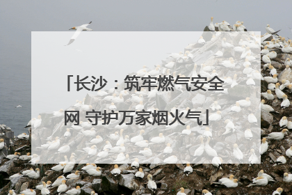 长沙：筑牢燃气安全网 守护万家烟火气