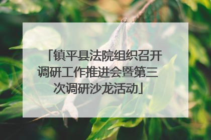 镇平县法院组织召开调研工作推进会暨第三次调研沙龙活动