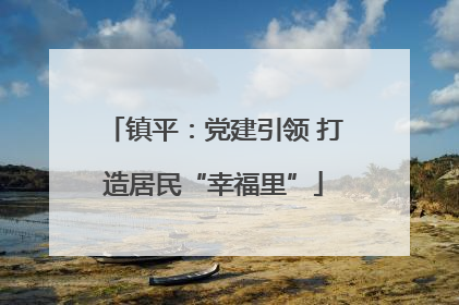 镇平：党建引领 打造居民“幸福里”