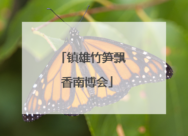镇雄竹笋飘香南博会