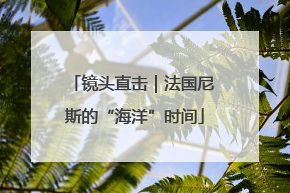 镜头直击｜法国尼斯的“海洋”时间