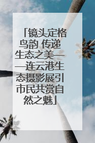 镜头定格鸟韵 传递生态之美——连云港生态摄影展引市民共赏自然之魅