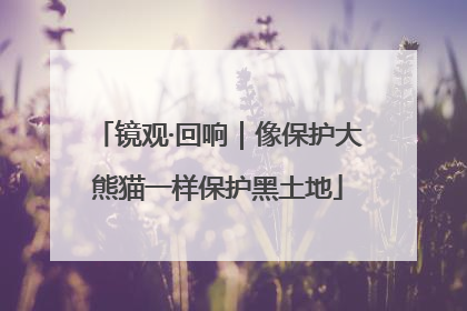 镜观·回响｜像保护大熊猫一样保护黑土地