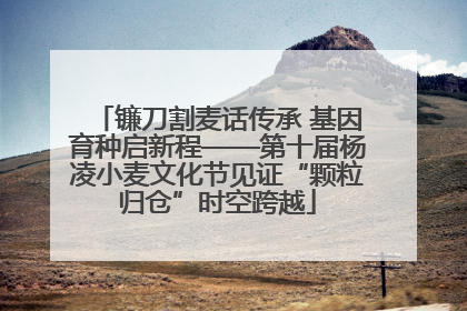 镰刀割麦话传承 基因育种启新程——第十届杨凌小麦文化节见证“颗粒归仓”时空跨越