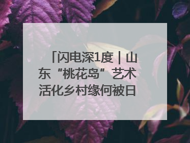 闪电深1度｜山东“桃花岛”艺术活化乡村缘何被日本友人推介？