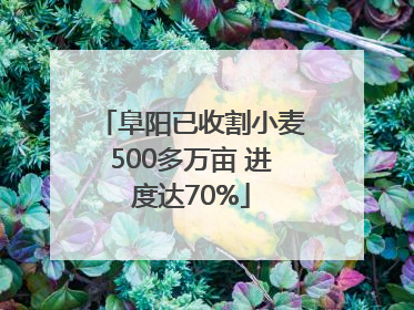 阜阳已收割小麦500多万亩 进度达70%