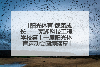阳光体育 健康成长——芜湖科技工程学校第十一届阳光体育运动会圆满落幕
