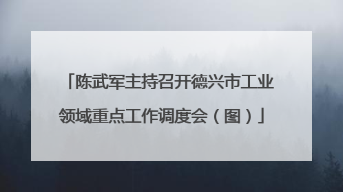 陈武军主持召开德兴市工业领域重点工作调度会（图）