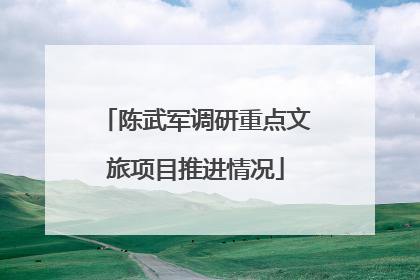 陈武军调研重点文旅项目推进情况