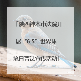 陕西神木市法院开展“6.5”世界环境日普法宣传活动