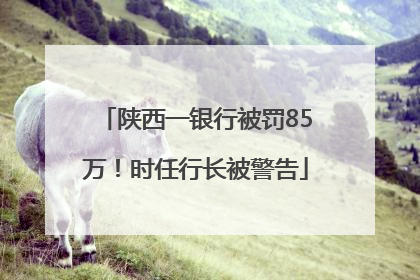 陕西一银行被罚85万！时任行长被警告