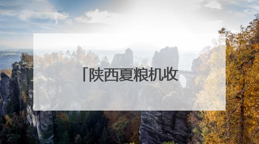 陕西夏粮机收作业陆续展开