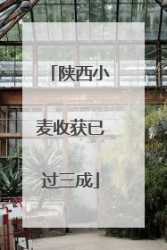 陕西小麦收获已过三成