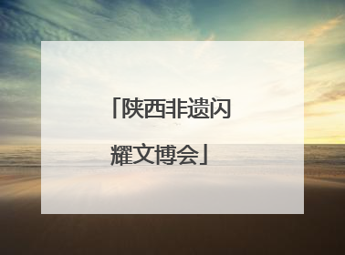 陕西非遗闪耀文博会
