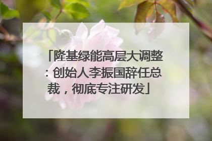 隆基绿能高层大调整：创始人李振国辞任总裁，彻底专注研发