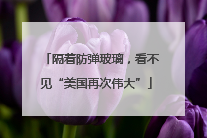 隔着防弹玻璃，看不见“美国再次伟大”