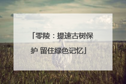 零陵：提速古树保护 留住绿色记忆