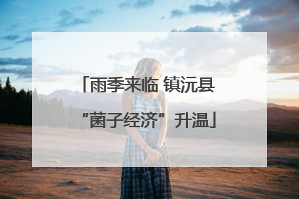 雨季来临 镇沅县“菌子经济”升温