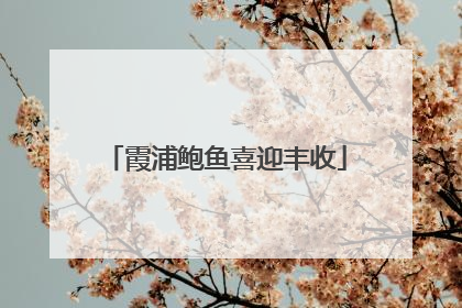 霞浦鲍鱼喜迎丰收