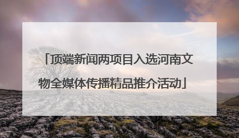 顶端新闻两项目入选河南文物全媒体传播精品推介活动