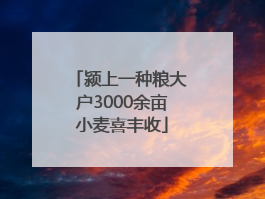 颍上一种粮大户3000余亩小麦喜丰收