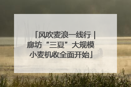 风吹麦浪一线行｜廊坊“三夏”大规模小麦机收全面开始