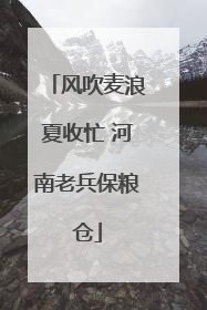 风吹麦浪夏收忙 河南老兵保粮仓