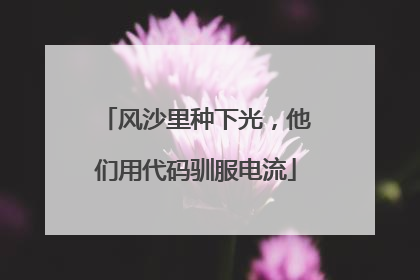 风沙里种下光，他们用代码驯服电流