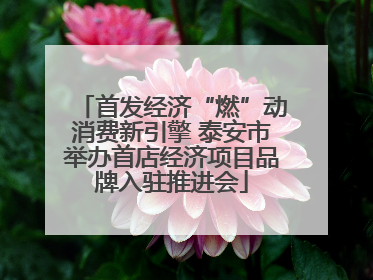 首发经济“燃”动消费新引擎 泰安市举办首店经济项目品牌入驻推进会