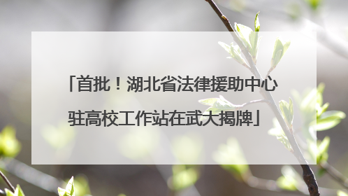 首批！湖北省法律援助中心驻高校工作站在武大揭牌