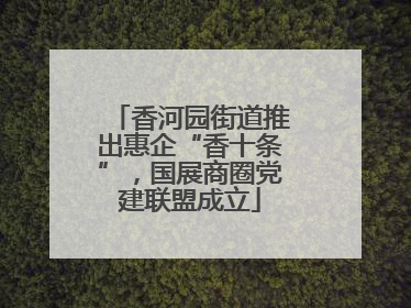 香河园街道推出惠企“香十条”，国展商圈党建联盟成立