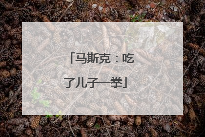 马斯克：吃了儿子一拳