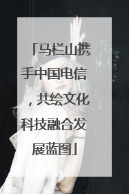 马栏山携手中国电信，共绘文化科技融合发展蓝图