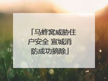 马蜂窝威胁住户安全 宣城消防成功摘除