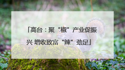 高台：聚“椒”产业促振兴 增收致富“辣”劲足