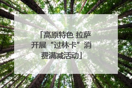 高原特色 拉萨开展“过林卡”消费满减活动