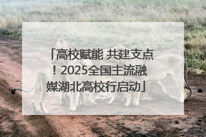 高校赋能 共建支点！2025全国主流融媒湖北高校行启动