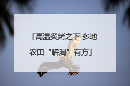 高温炙烤之下 多地农田“解渴”有方