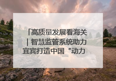 高质量发展看海关｜智慧监管系统助力宜宾打造中国“动力电池之都”