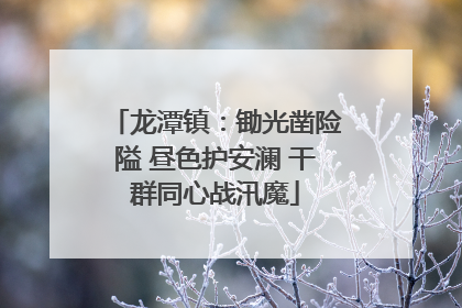 龙潭镇：锄光凿险隘 昼色护安澜 干群同心战汛魔