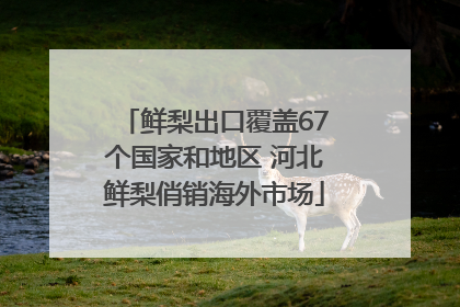 鲜梨出口覆盖67个国家和地区 河北鲜梨俏销海外市场