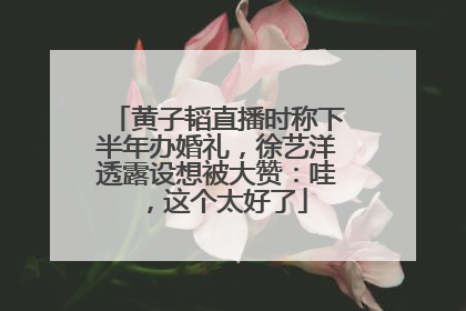黄子韬直播时称下半年办婚礼，徐艺洋透露设想被大赞：哇，这个太好了
