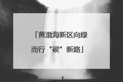 黄渤海新区向绿而行“碳”新路
