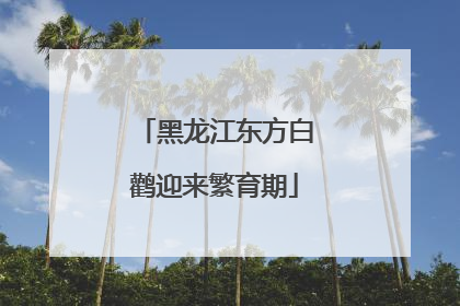 黑龙江东方白鹳迎来繁育期