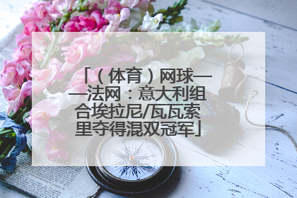 （体育）网球——法网：意大利组合埃拉尼/瓦瓦索里夺得混双冠军