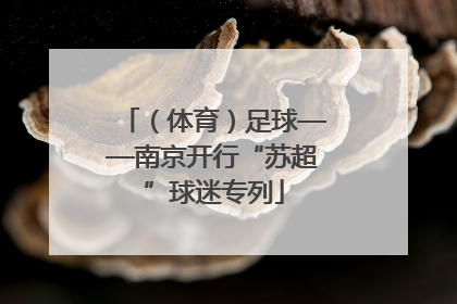 （体育）足球——南京开行“苏超”球迷专列
